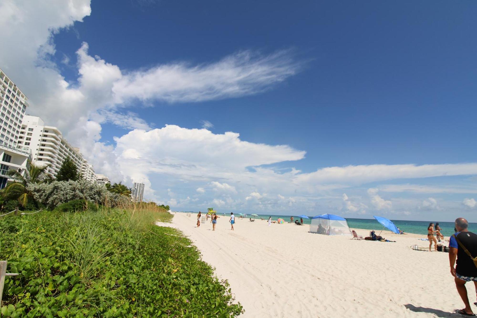 Castle Pavillon 8 Beachfront - Private Beach Access Loft With 2-Story, Pool, Tennis, Free Parking Access Miami Beach Buitenkant foto